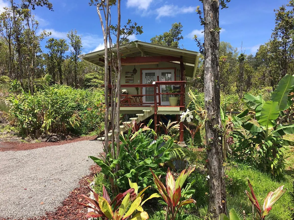 Volcano Eco Cabin & Eco Lodge 0*,
