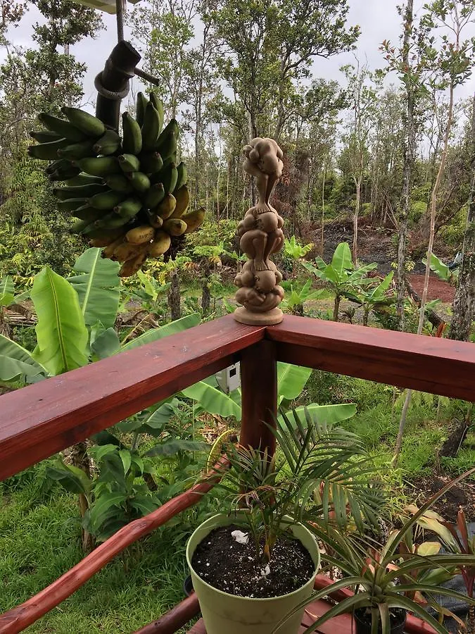 Volcano Eco Cabin & Eco Lodge
