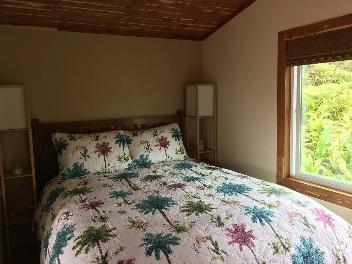 Volcano Eco Cabin & Eco Lodge